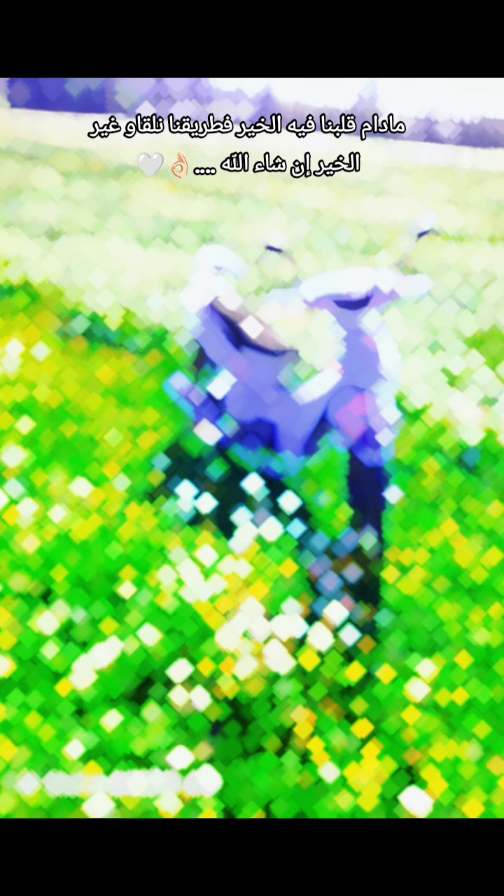 @✨🎩𝗞𝗶𝗻𝗴 𝗥𝗶𝗱𝗲𝗿🎩✨