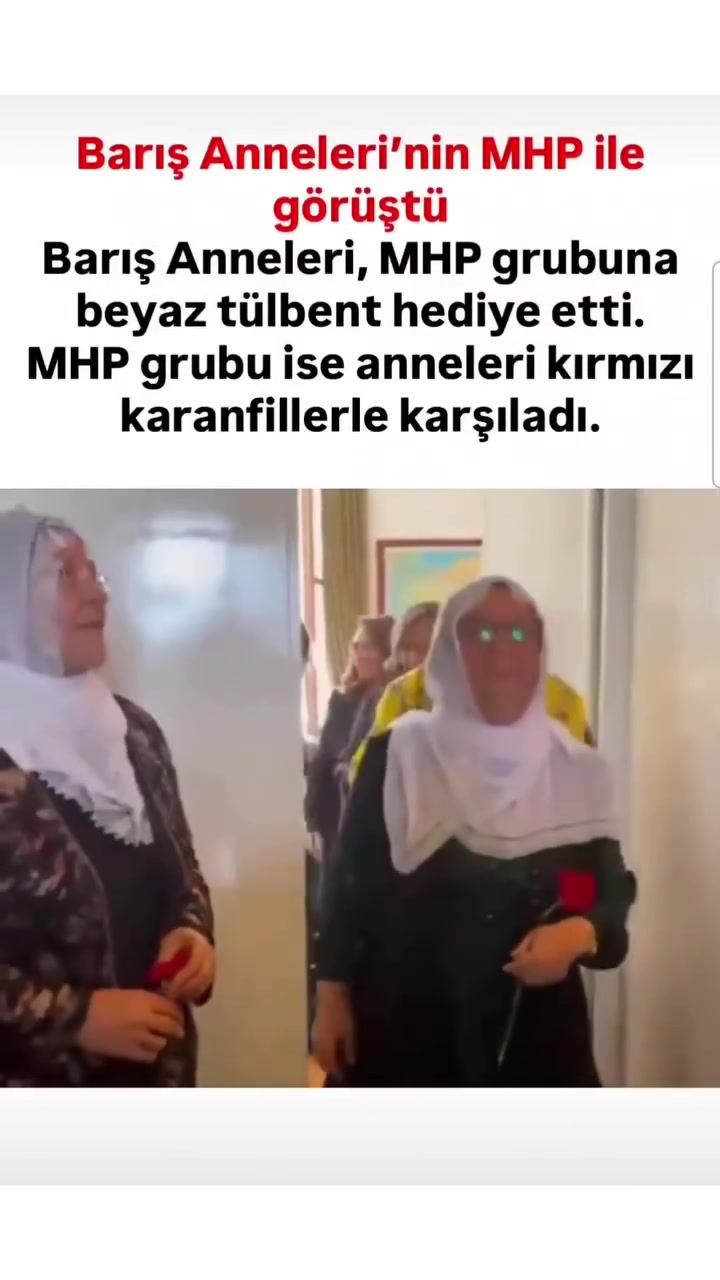 @erzel073