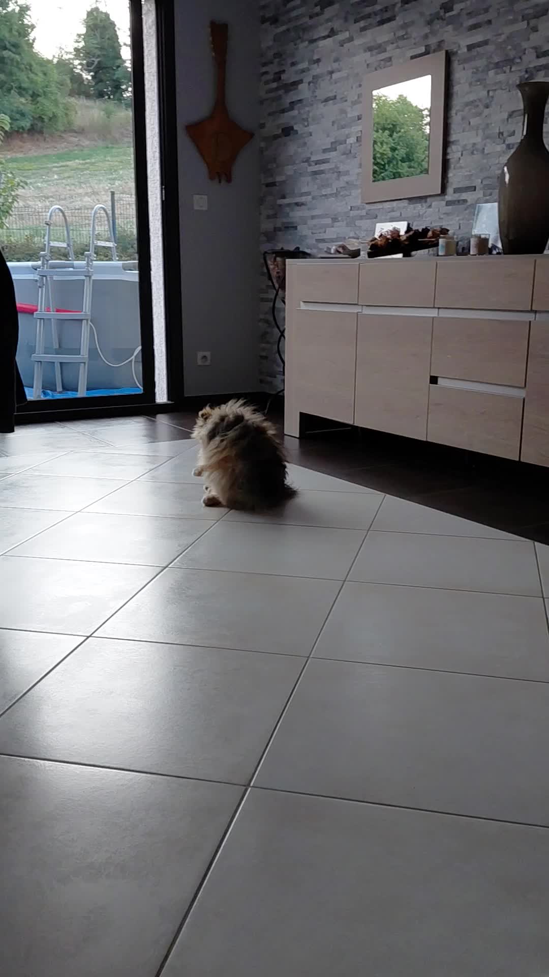 @PomdAmour
