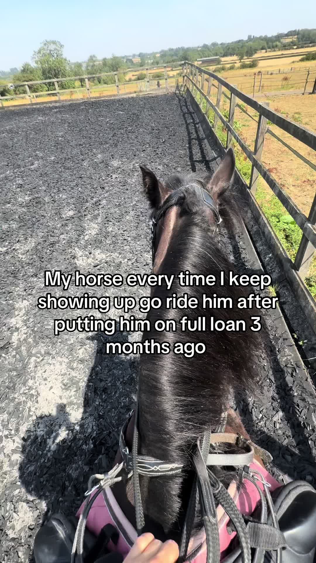 @Sophie&merlin🌸🐴