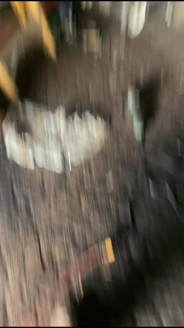 @𖤐🕊️Byrdy🕊️𖤐 バードィ