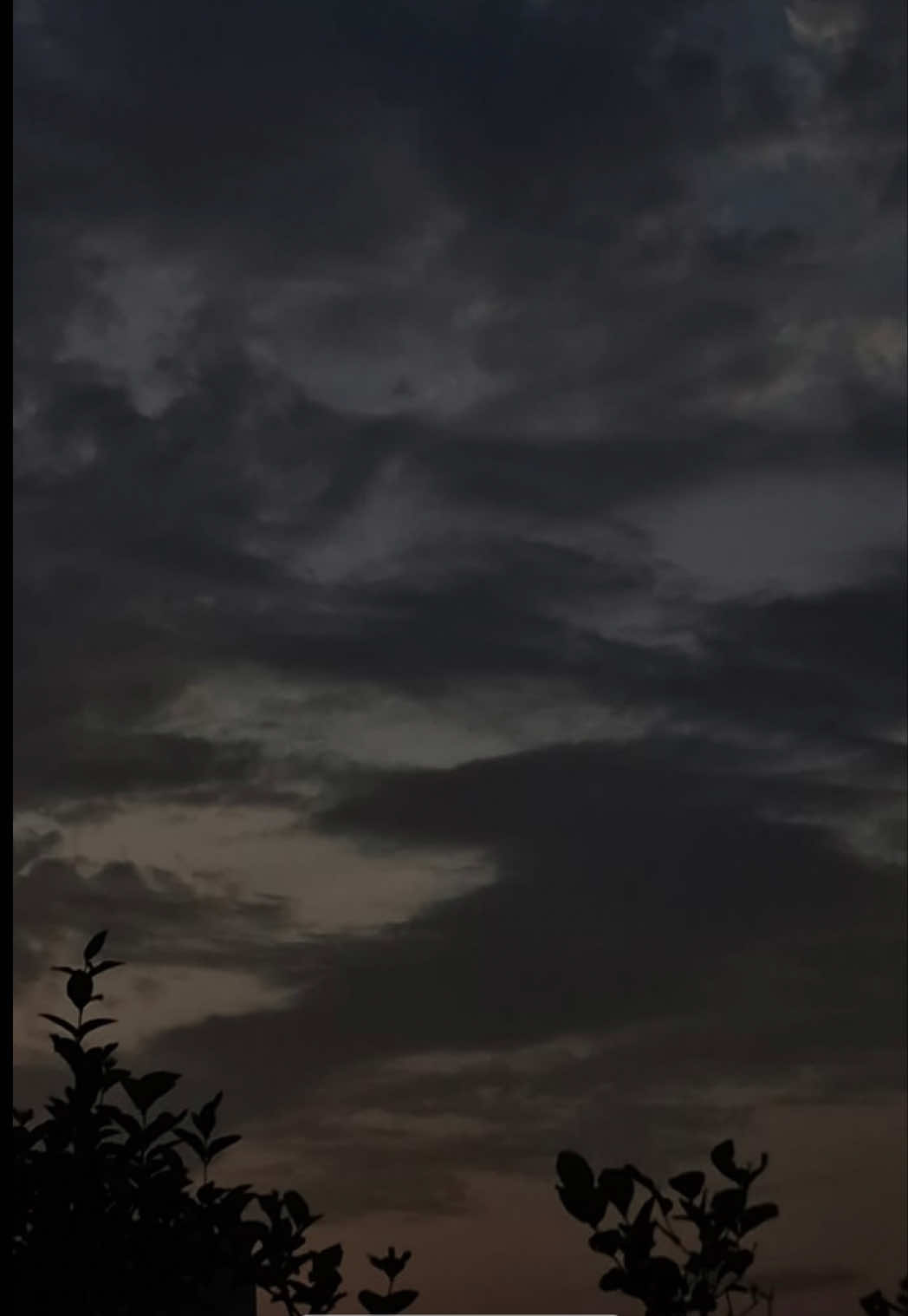 @haafz__