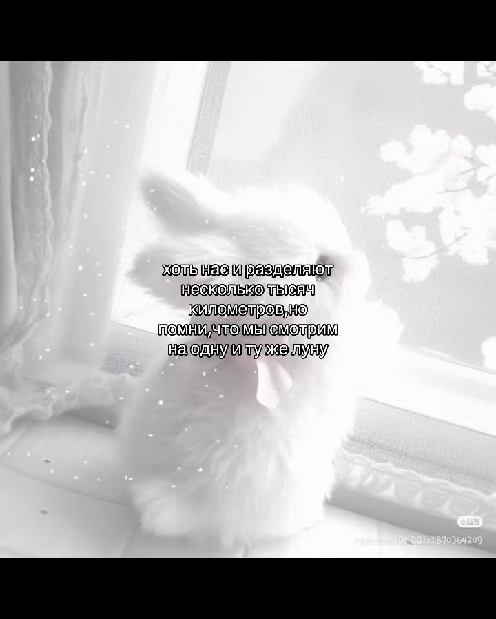 @݁˖𝜗ৎ ᥎ᥲᥒiᥣᥣᥲ‧˚꒰🐾୭ ˚