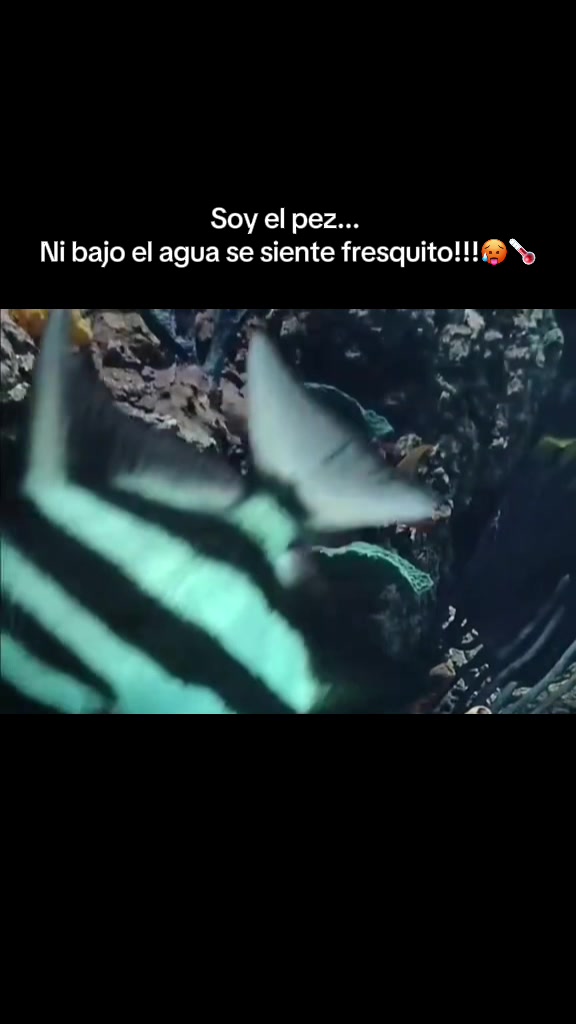 @DTejanos