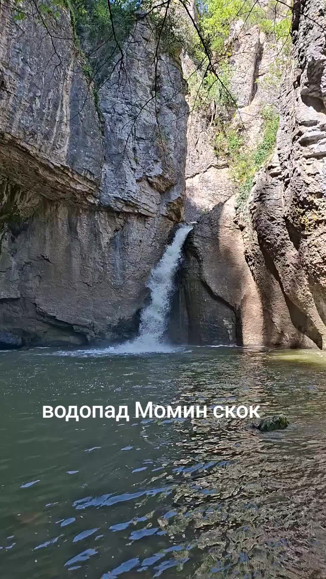 @Nedelin Bozhinov