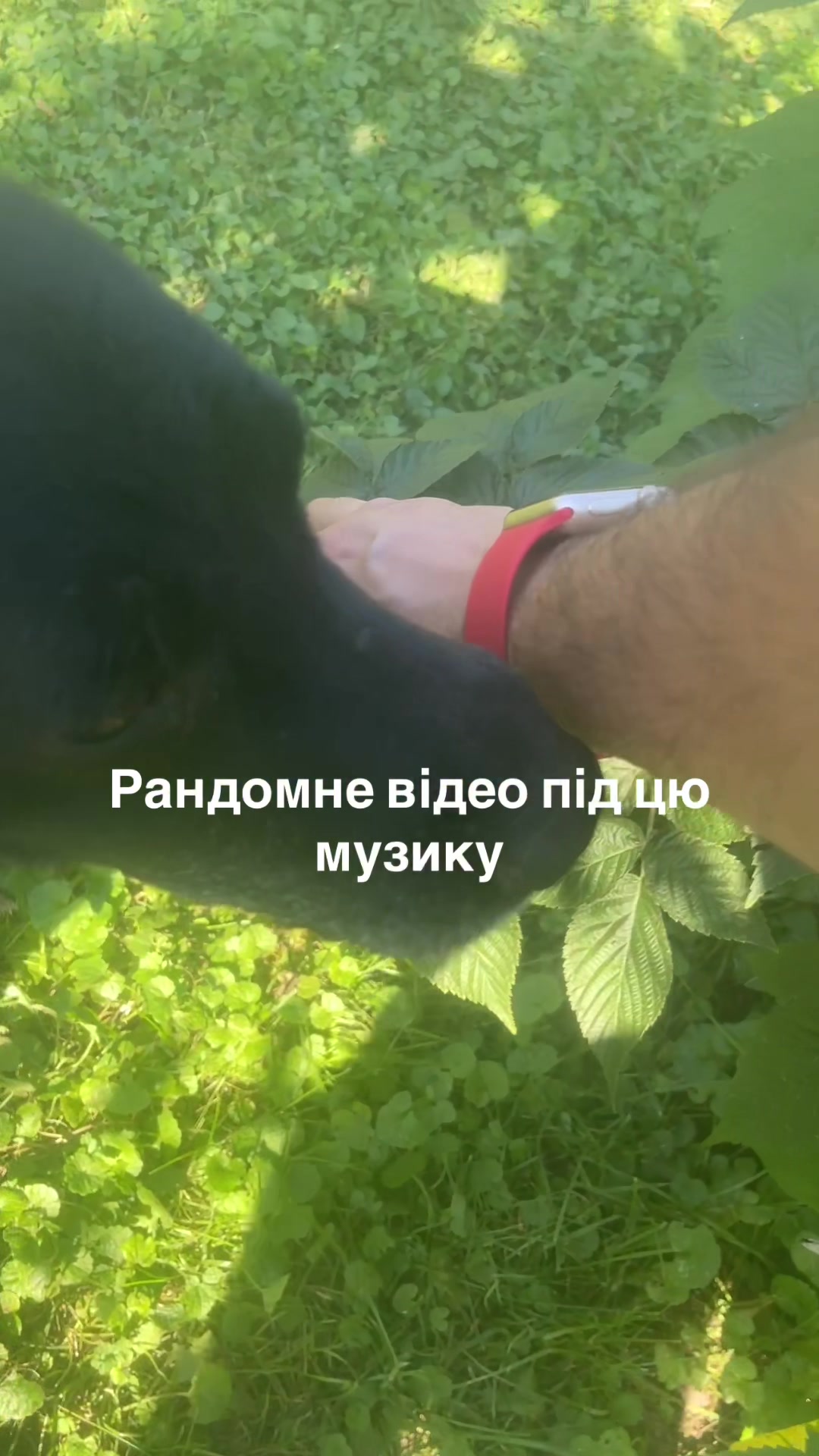 @Жилбил28