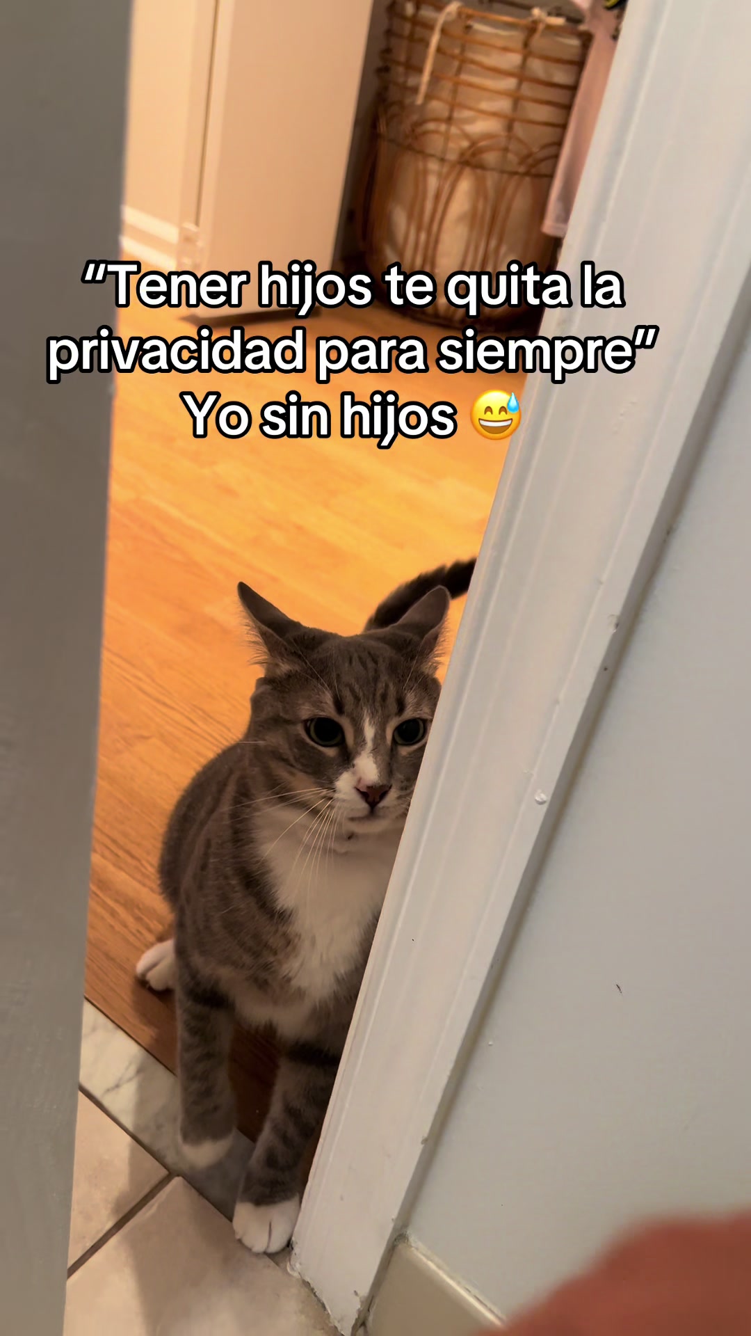 @michimatiass
