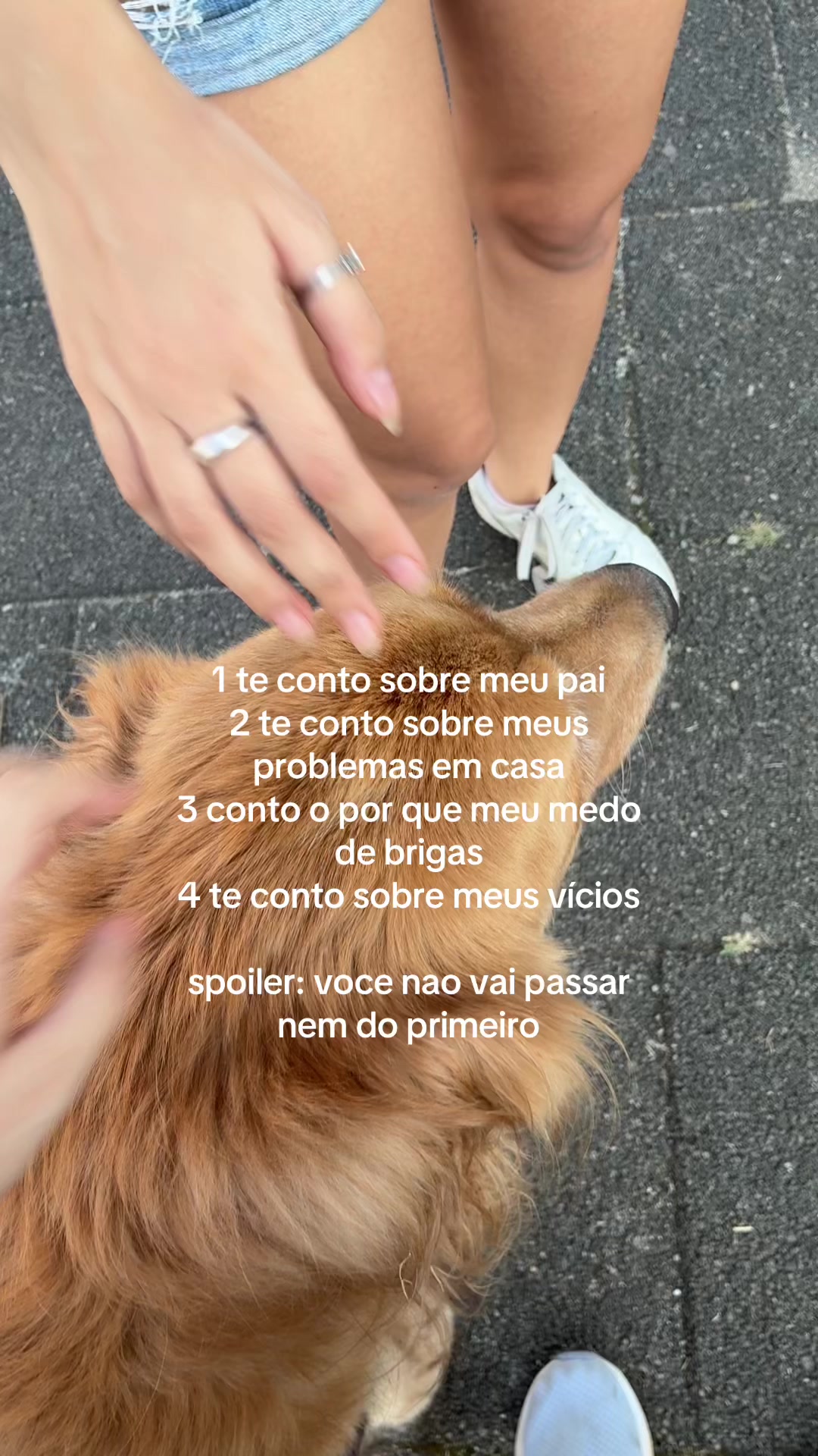 @n&atilde;o &eacute; a leoncini!!⁶⁷