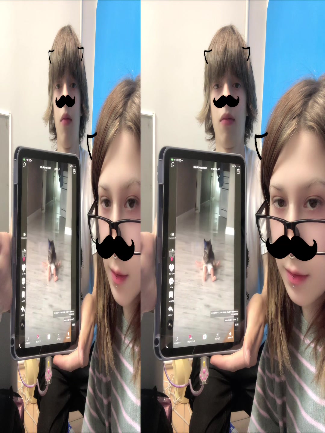 @alinkmeow𐙚