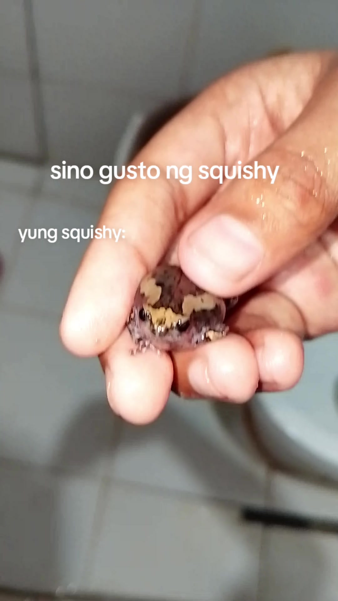 @𝙏𝙅𝘿𝘾𝙋