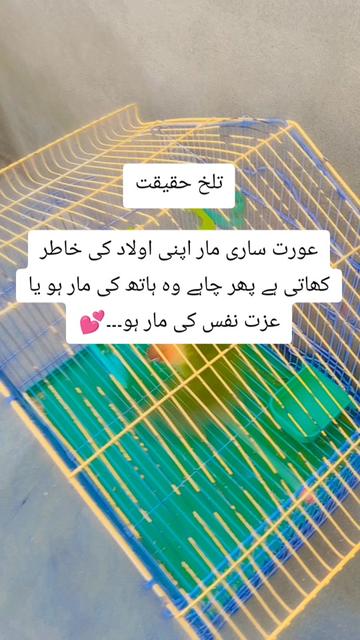 @S𝚝yᄂᵢ𝘴𝓱 Gᵢᵣᄂ❤️||