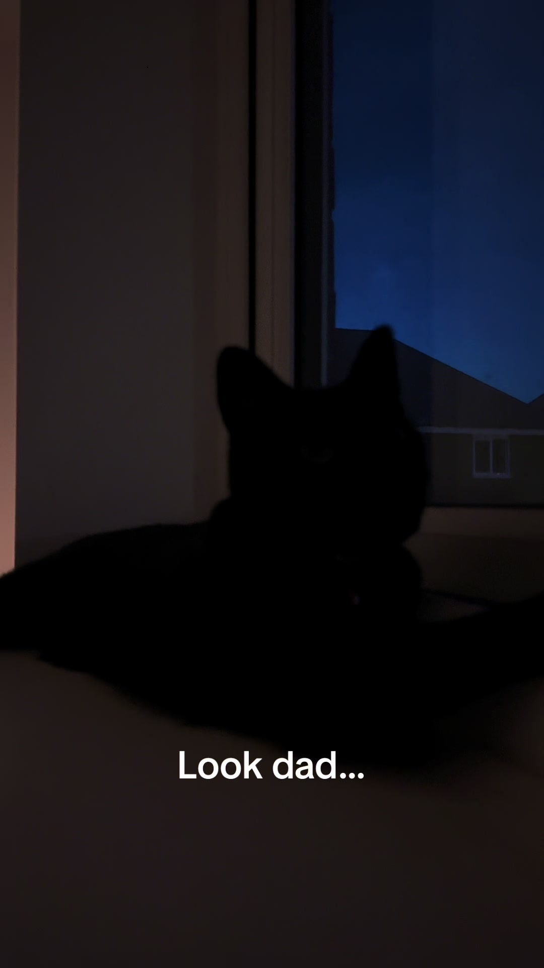 @StopImAlreadyDan