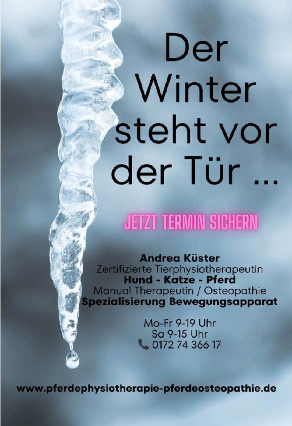 @Pferdephysiotherapie InTakt
