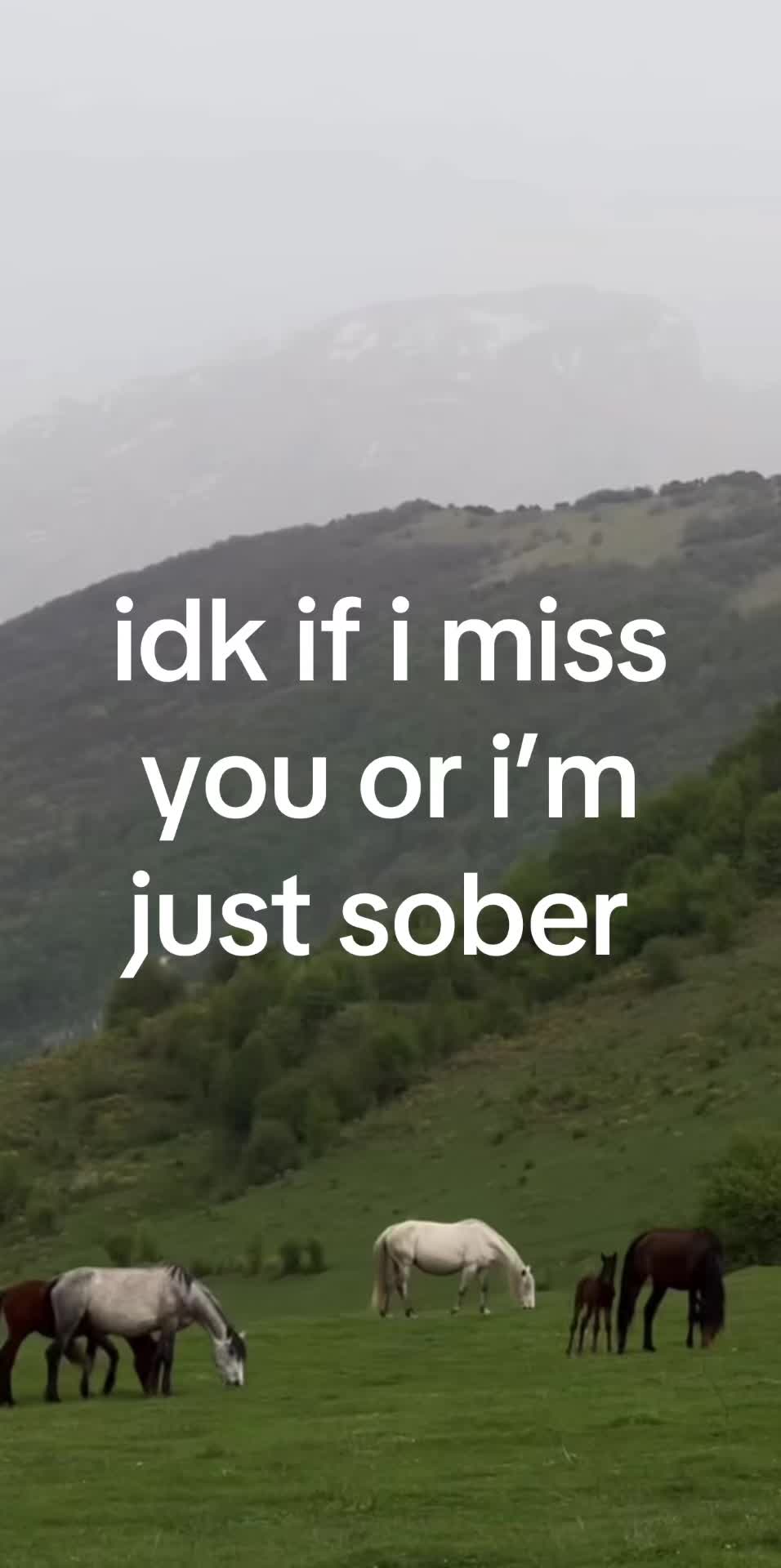 @:0