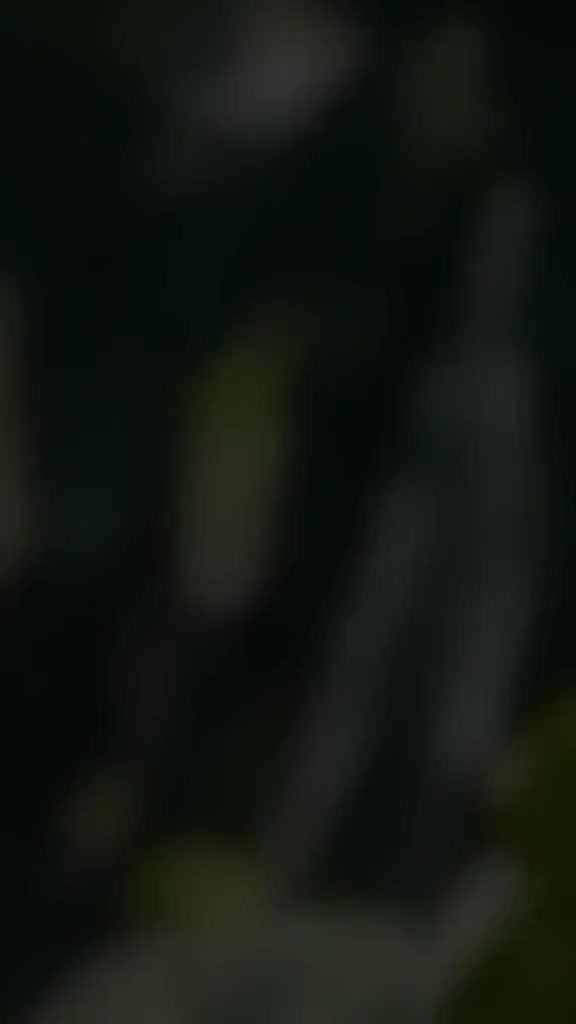 @< IT z Me_𝘾𝙏____𝙃𝙚𝙨𝙝💐🤍