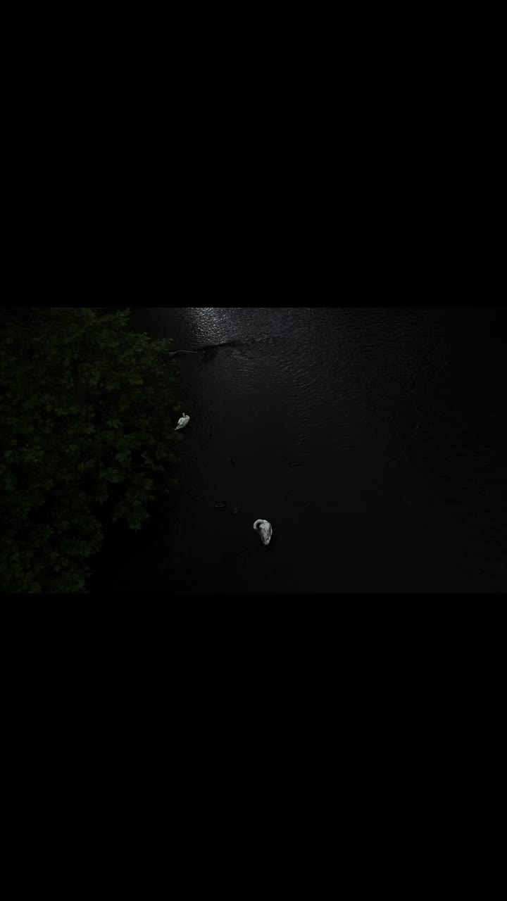 @𝒮𝓌𝒶𝓃🦢