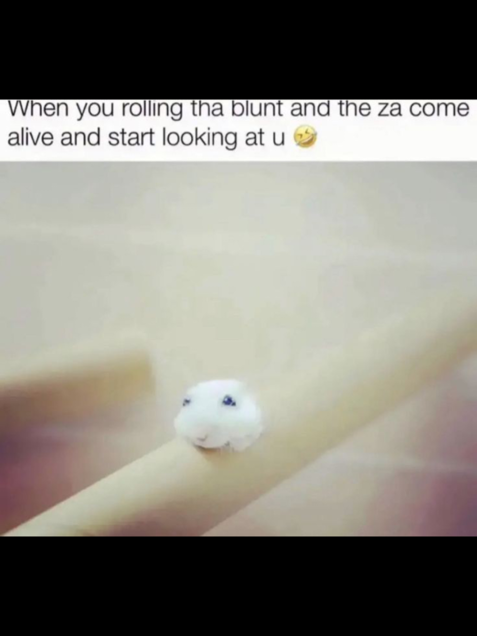 @I like bunnies