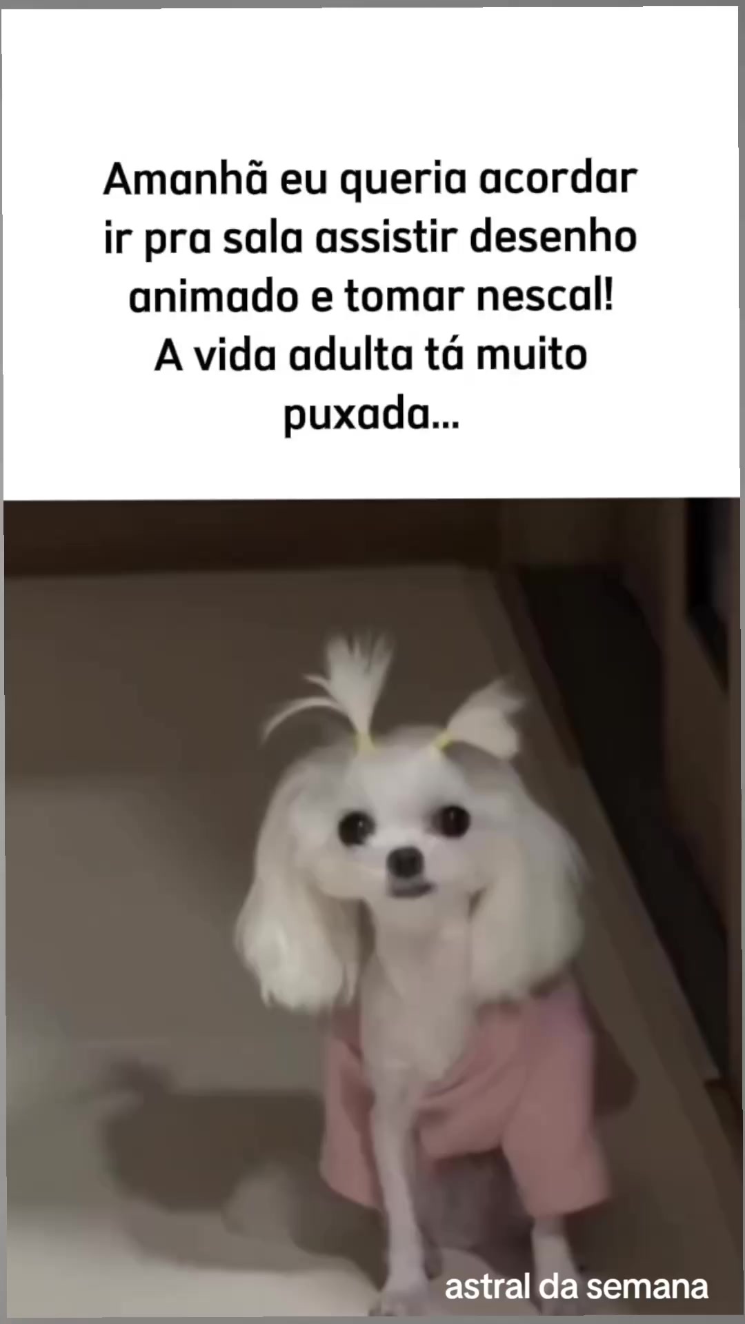 @Astral