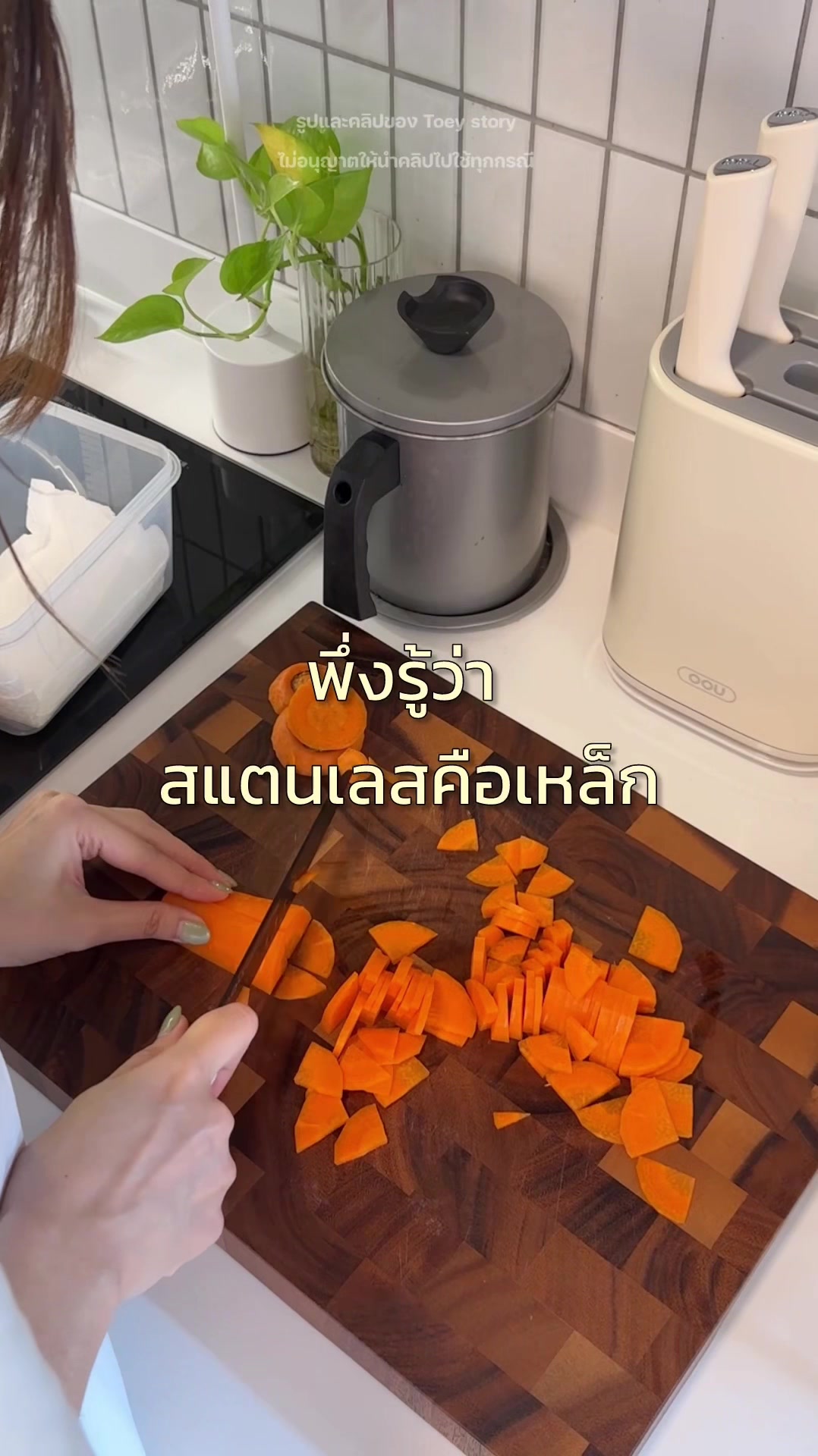 @Toey Story