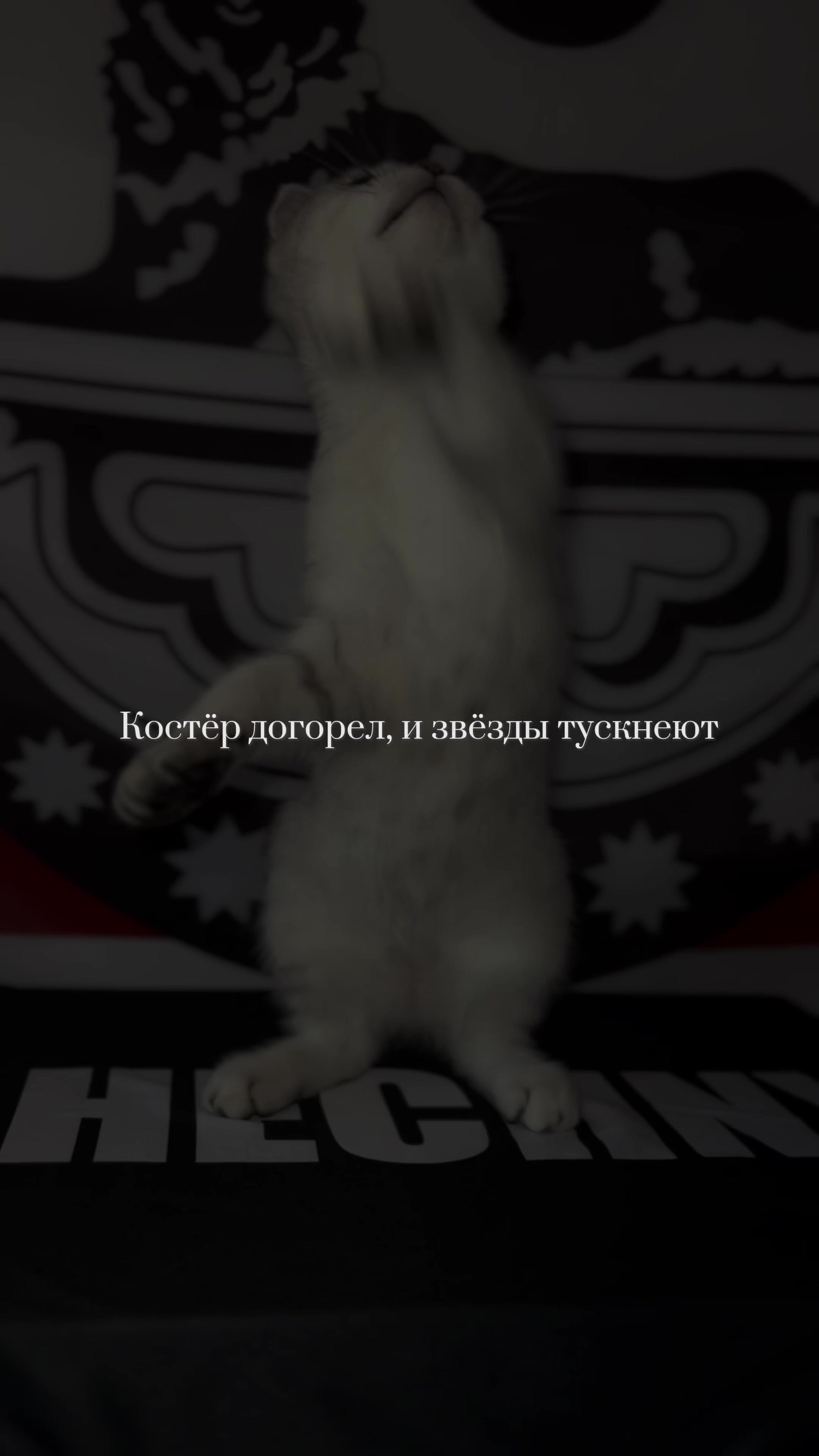 @𝐍𝐎𝐗𝐂𝐇𝐈⛰️