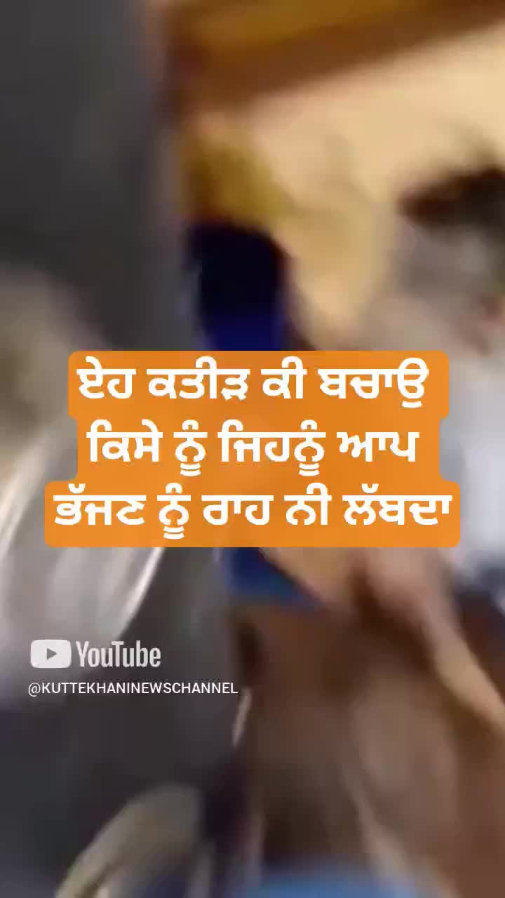 @KUTTE KHANI NEWS CHANNEL