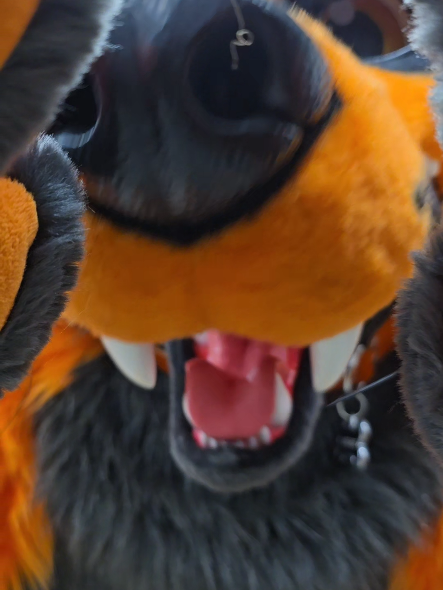 @Grease Wolf