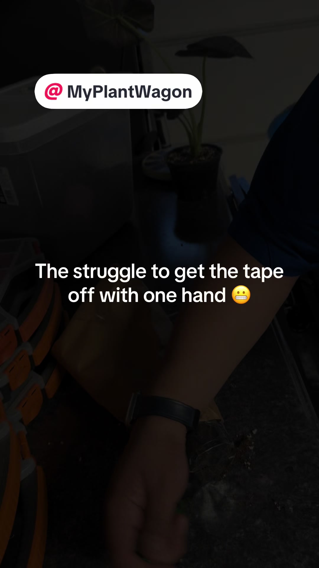 @JT