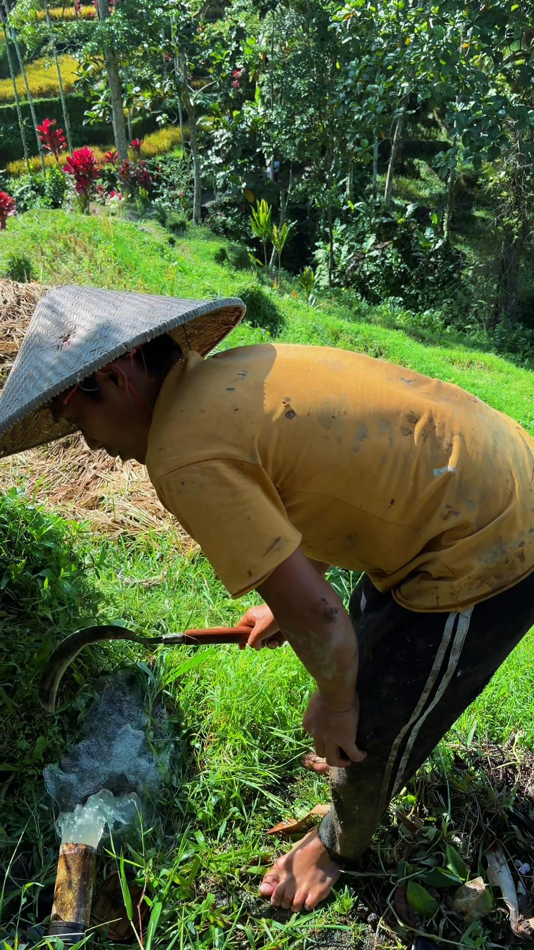 @Ubud Area Tours