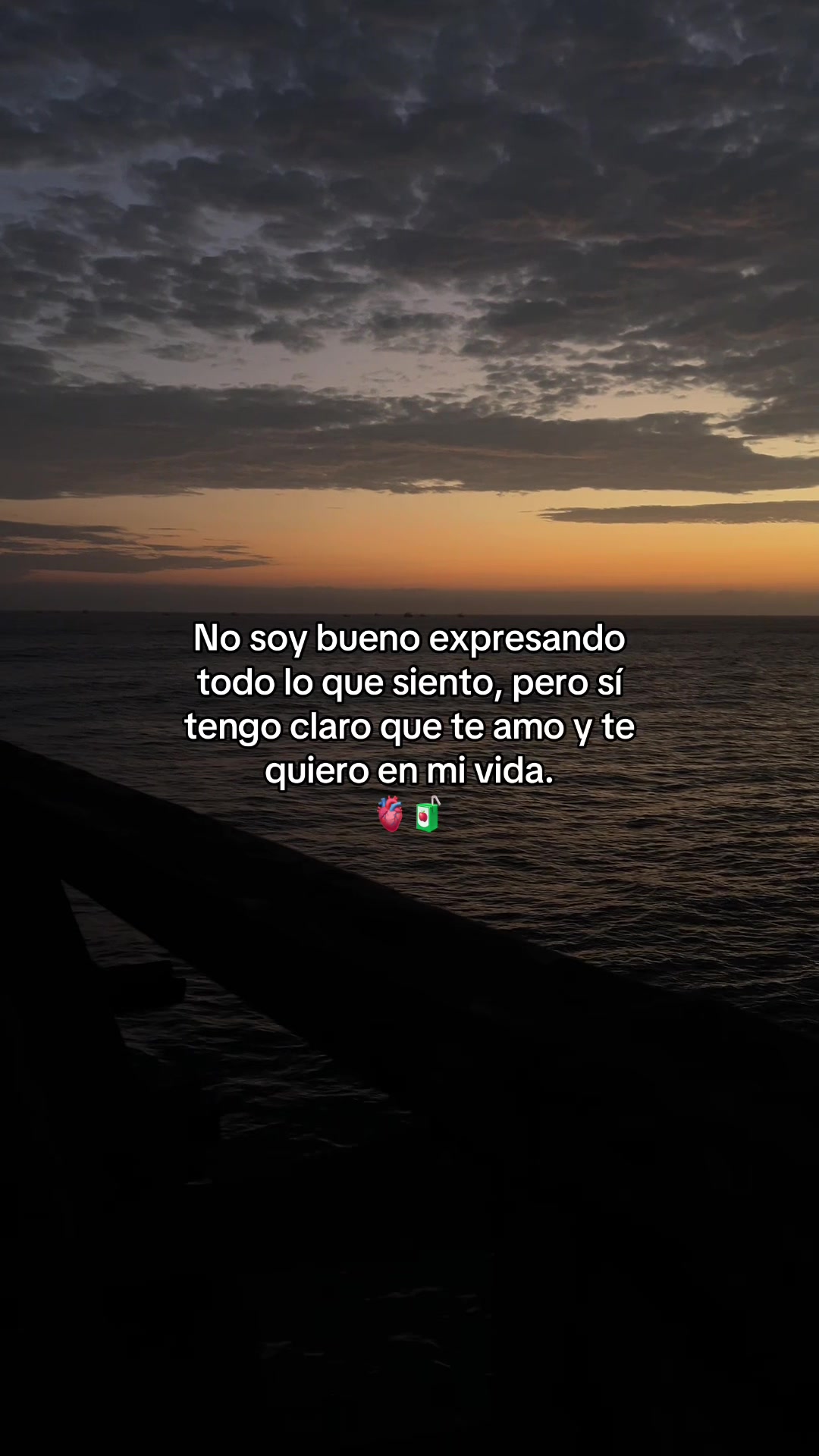 @Gatocix 🐱