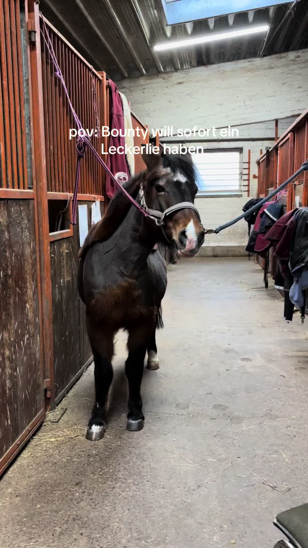 @Kinderreitenfulda