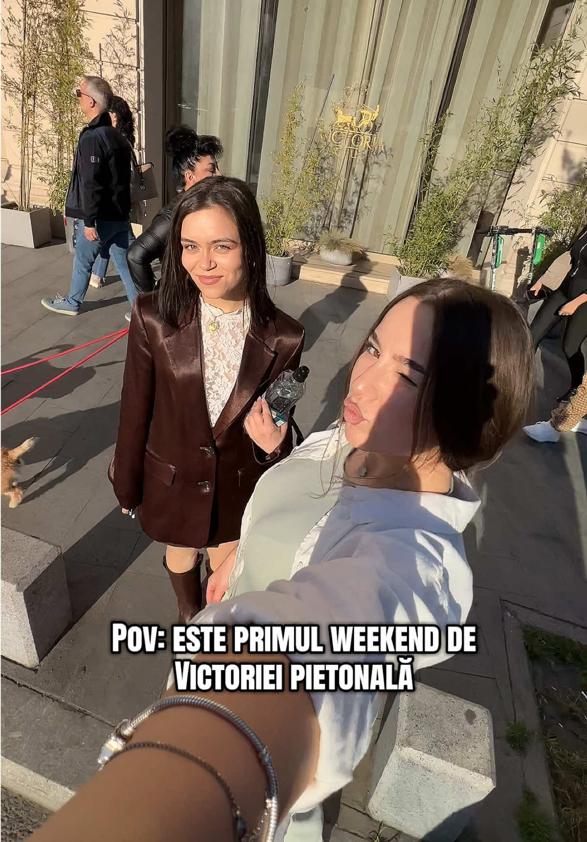@Denisa Negulescu