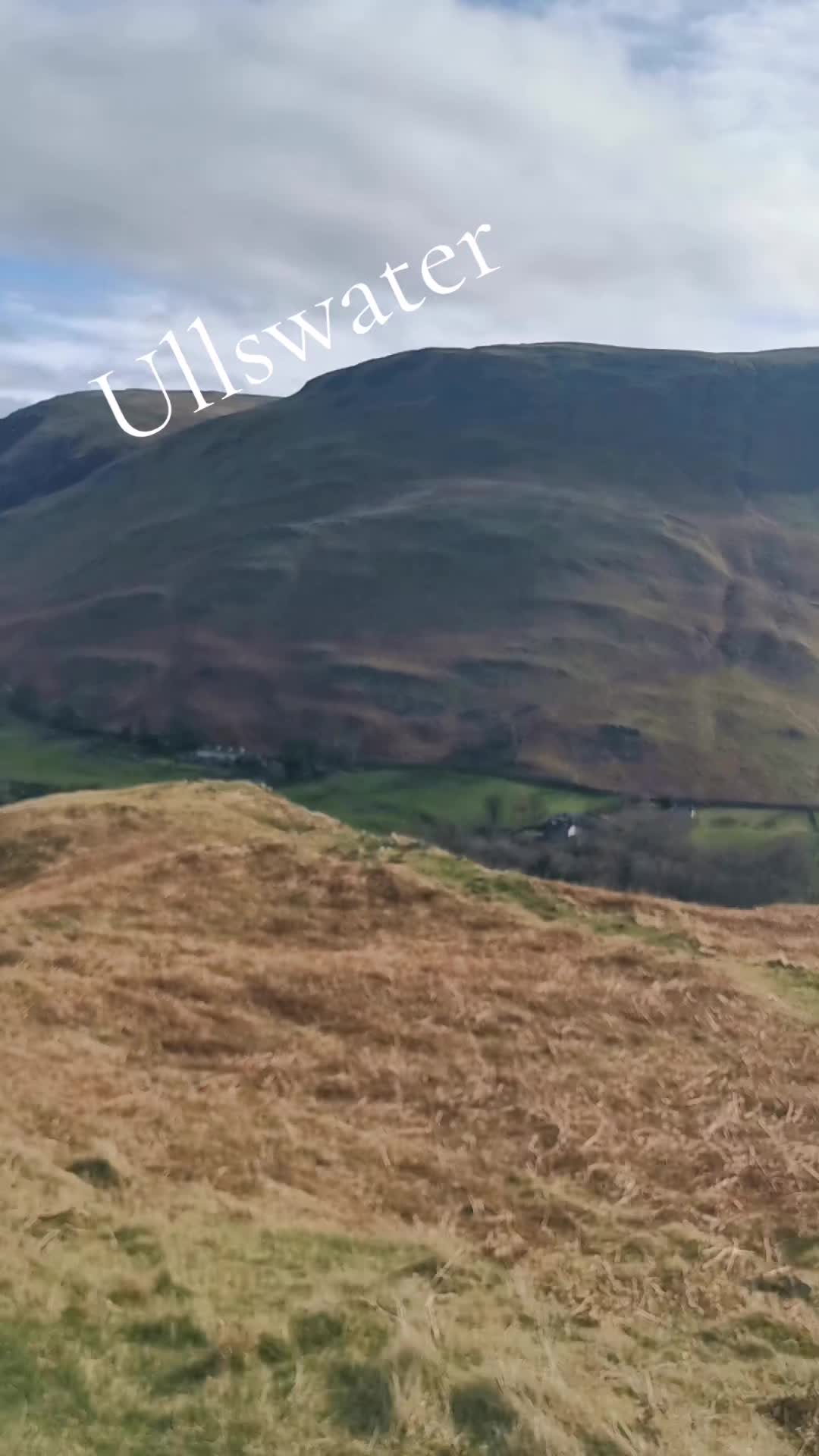 @Kitbullstyle