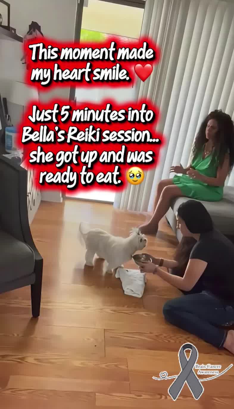 @BelDotLey