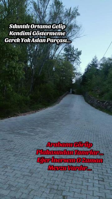 @Adnan Pişken