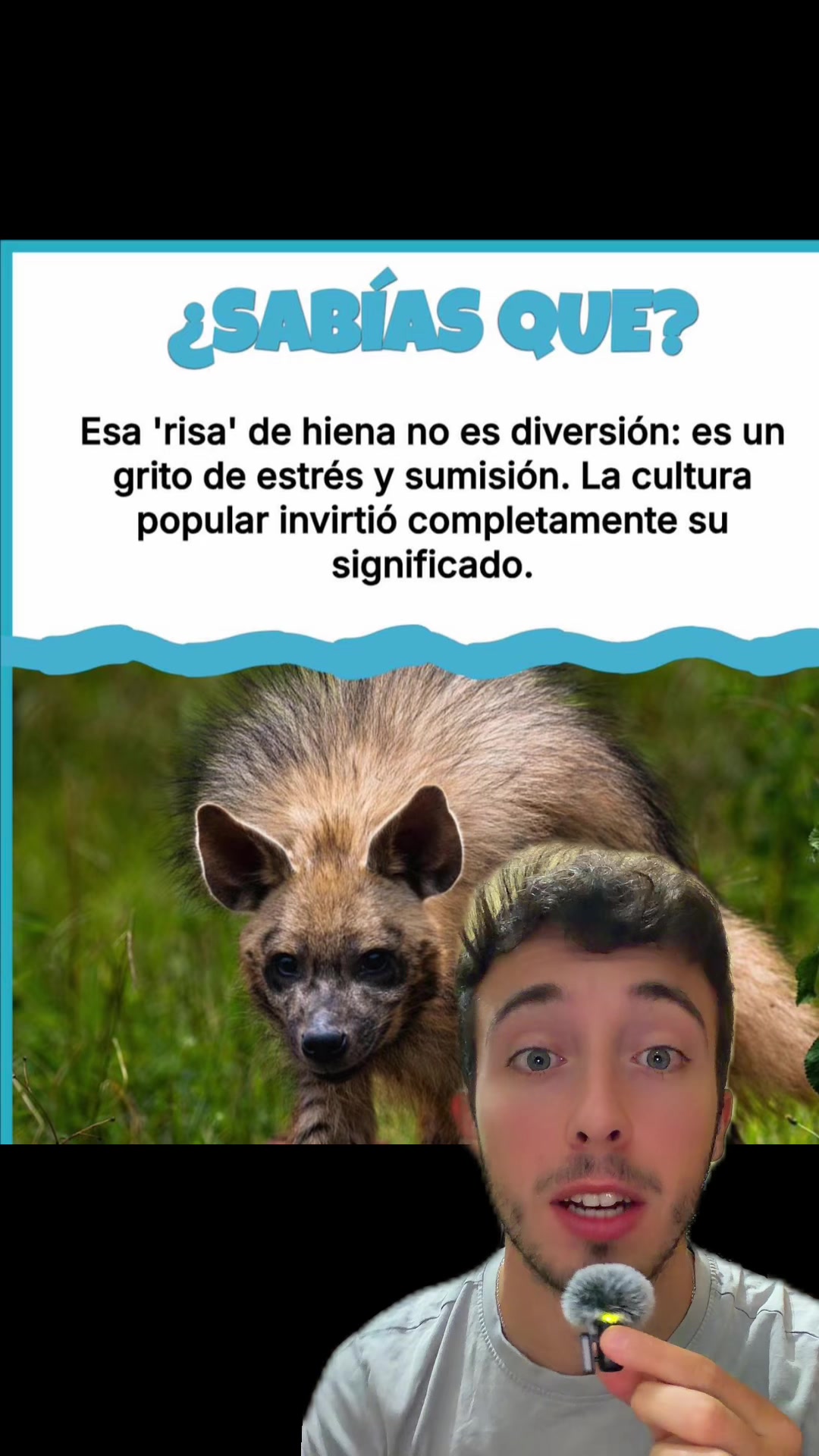 @ivanttops