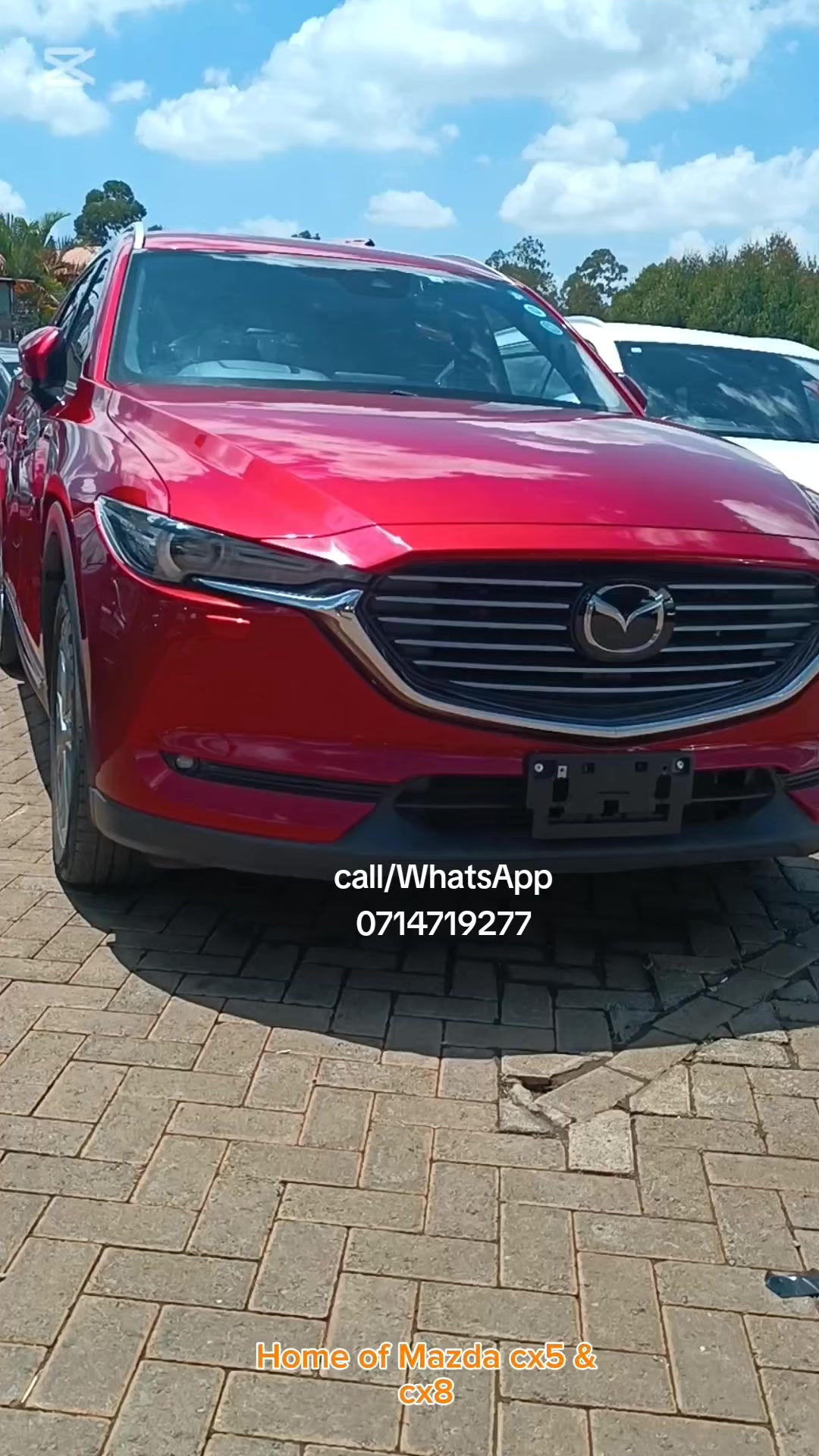 @JOLYD motors