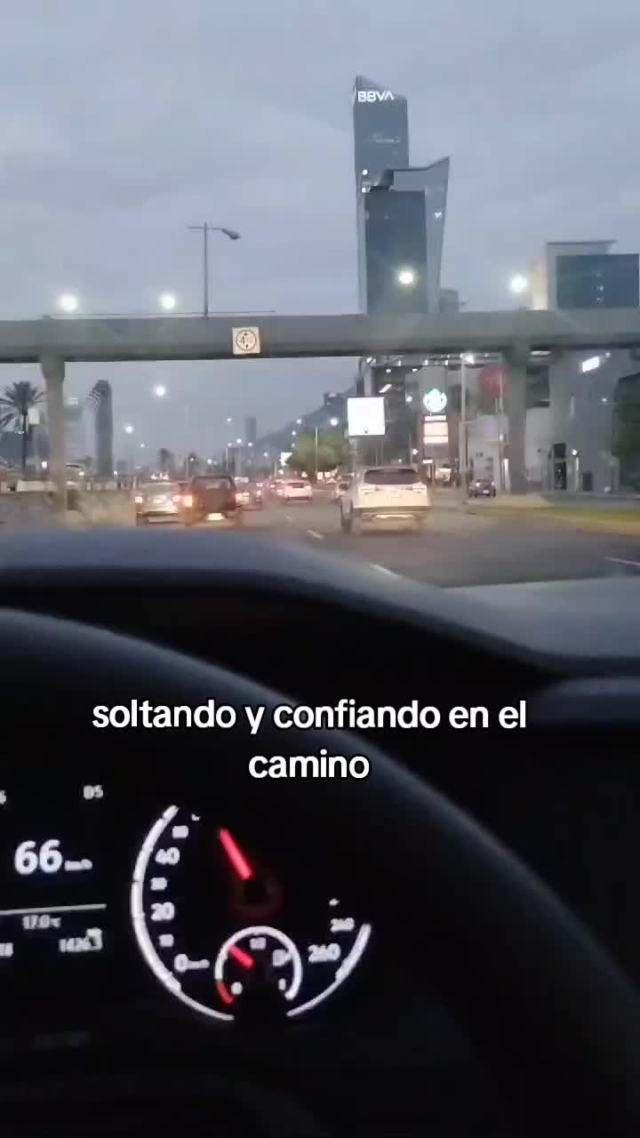 @juan navarrete