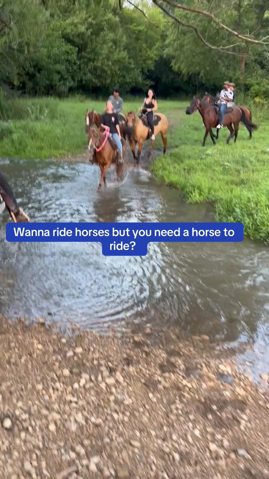 @Millbrook Trail Rides