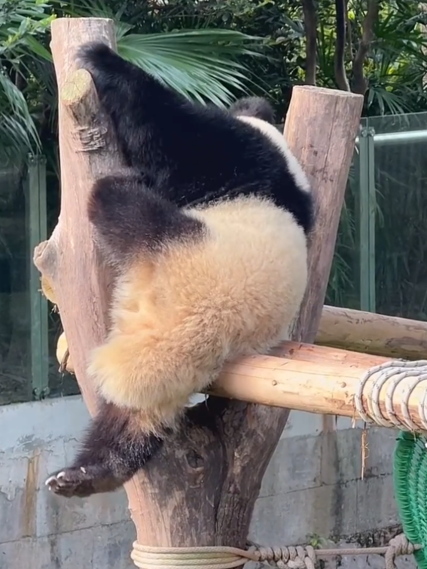 @PandaHut