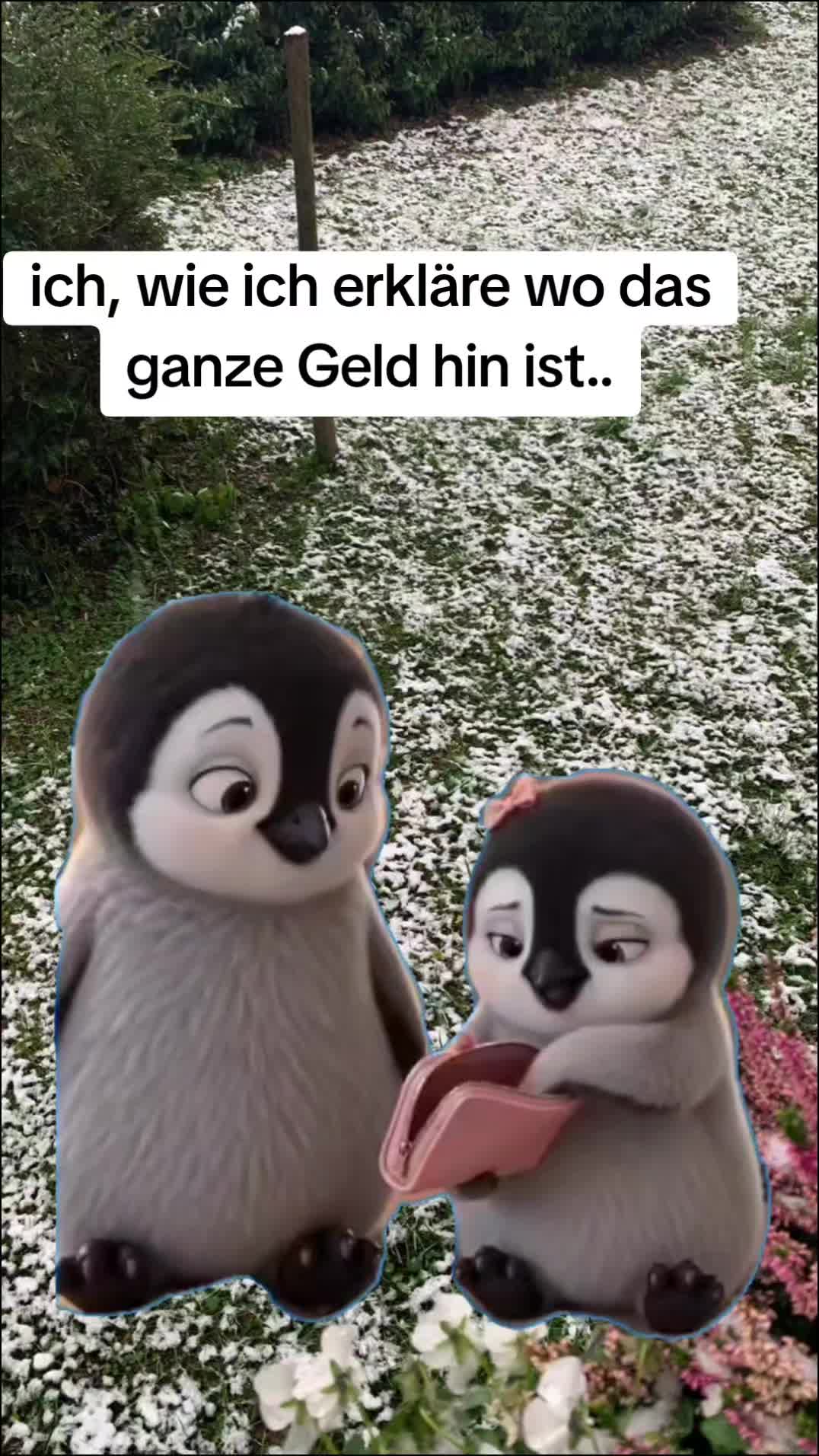 @teddys_tok_