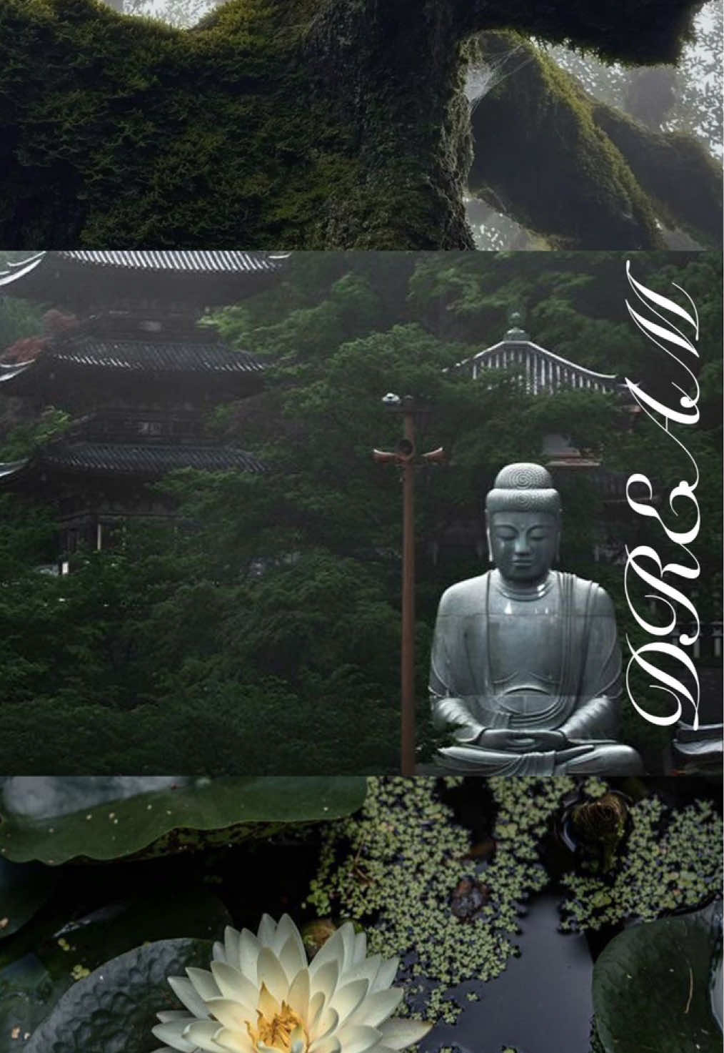 @顾清漪
