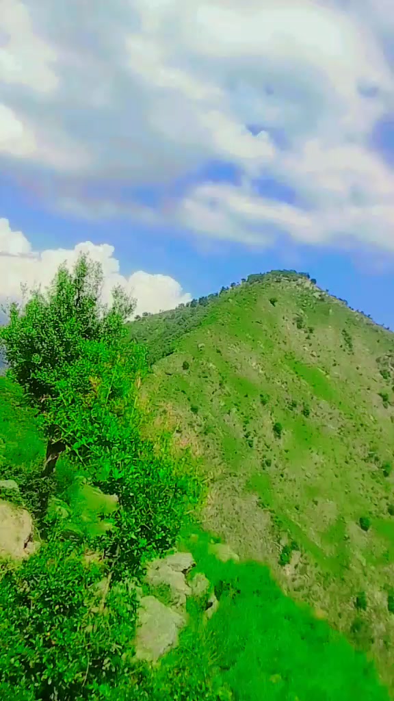 @shahzeb khan