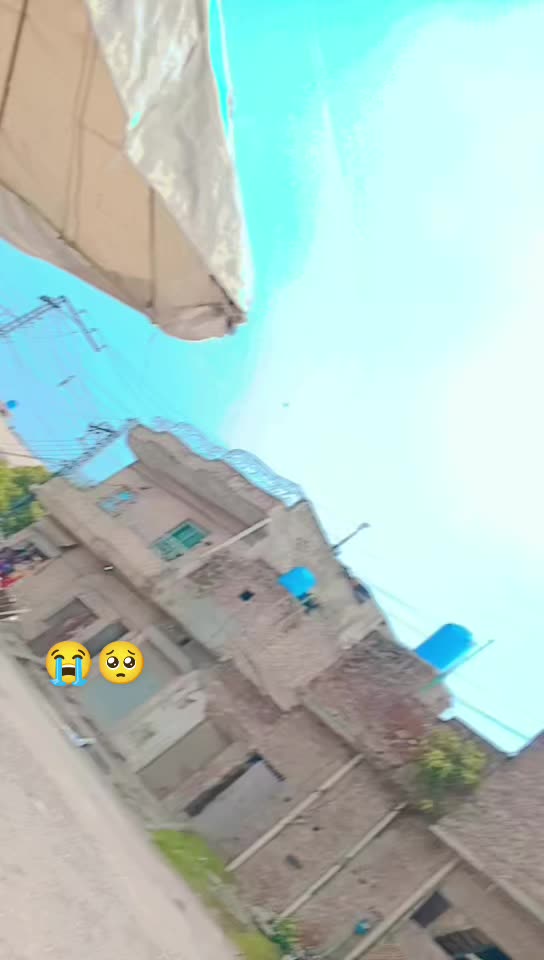 @reddy Waly 751