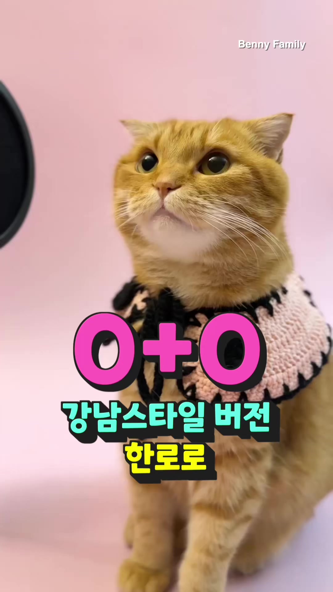 @베니패밀리 Benny Family