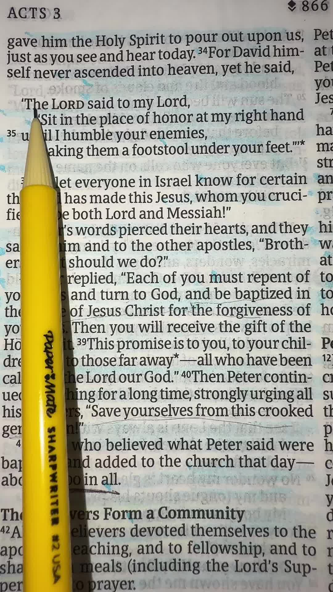 @Redeemed Society