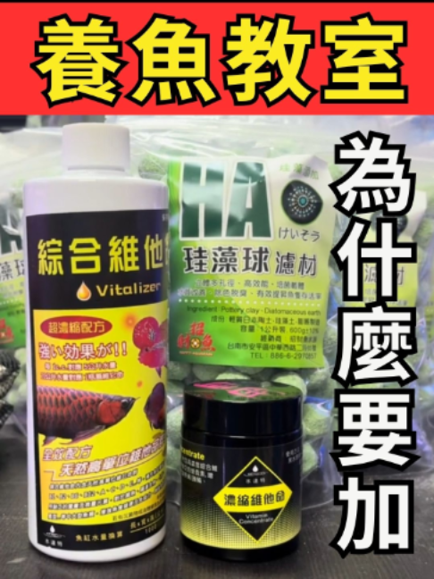 @招財魚水族精品