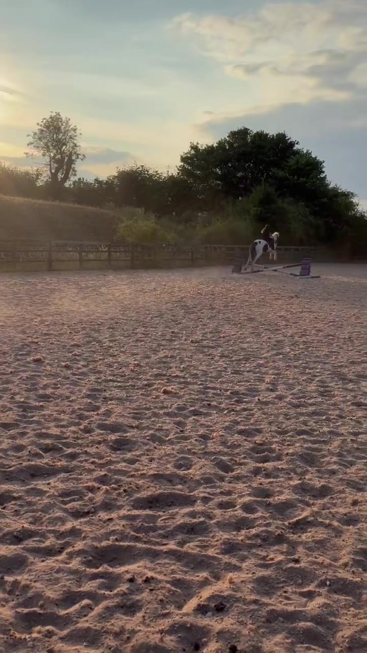 @LottiesHorseAdventures🦄🐴