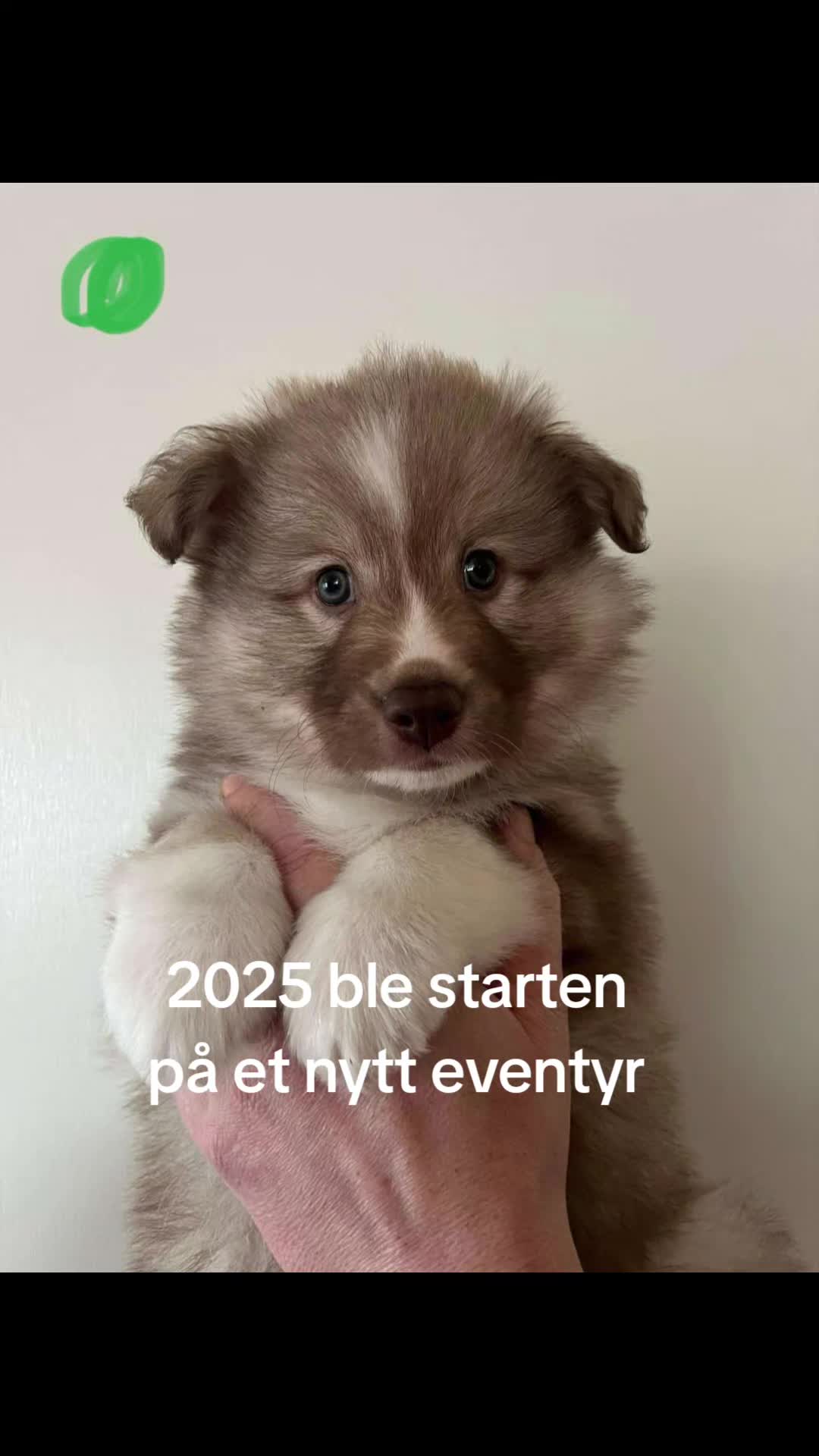 @Ingrid Knudsen