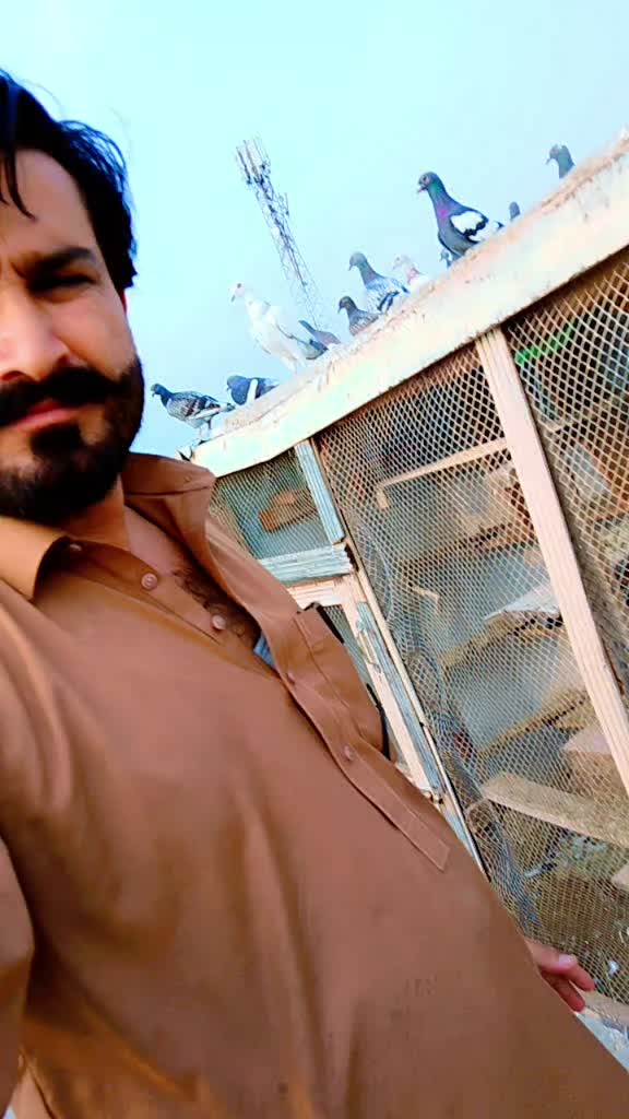 @MalikAtif