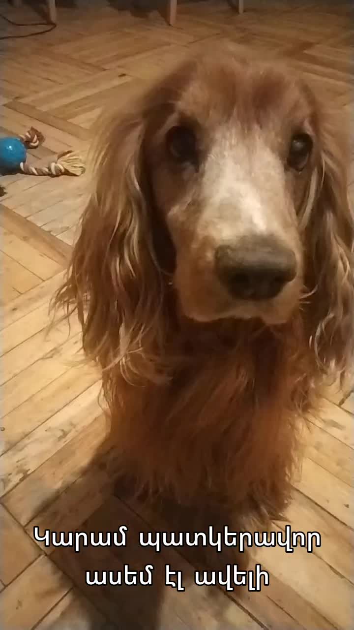 @Артур